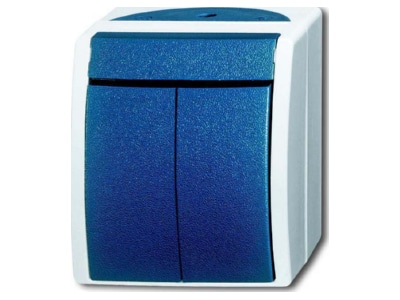Product image Busch Jaeger 2601 5 W 53 Series switch surface mounted cyan
