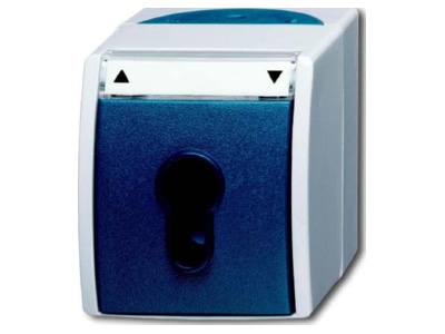 Product image Busch Jaeger 2712 SLW 53 2 pole switch and push switch
