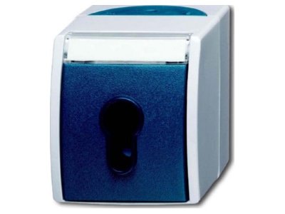 Produktbild Busch Jaeger 2733 SLW 53 Schluesselschalter AP