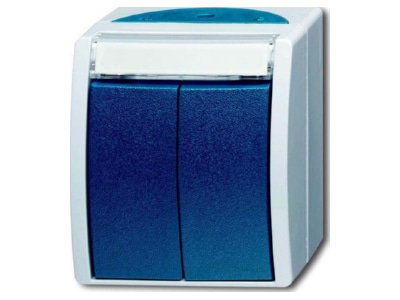 Produktbild Busch Jaeger 2621 WN 53 205 101 Doppeltaster 2 Schliesser AP