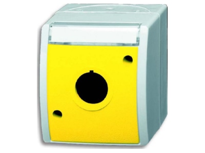 Product image Busch Jaeger 2533 WN 15 53 Surface mounted housing 1 gang yellow
