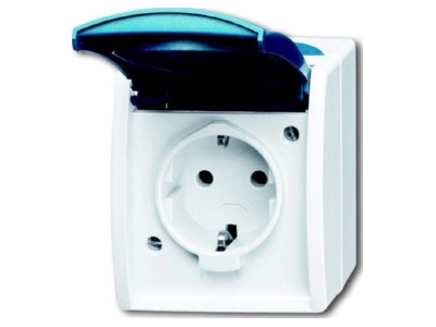Produktbild Busch Jaeger 20 EWN 53 Schuko Steckdose mit Namensschild