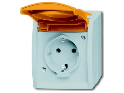 Produktbild Busch Jaeger 20 EWN 14 53 Schuko Steckdose mit ZSV Namensschild
