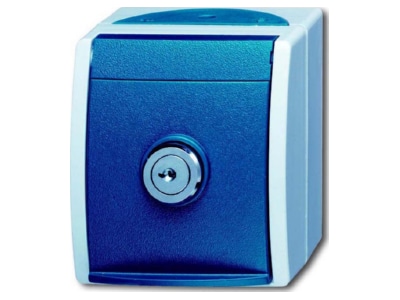 Produktbild Busch Jaeger 20 EWSL 53 Schuko Steckdose abschliessbar