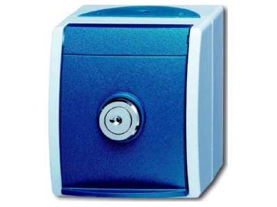Produktbild Busch Jaeger 20 EWSL 101 53 Schuko Steckdose Einheitsschloss