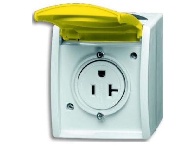 Product image Busch Jaeger 3016 EWN 53 Socket outlet  receptacle  NEMA yellow
