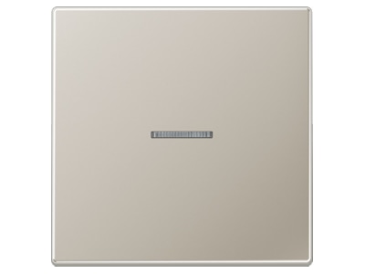 Produktbild Jung ES 2990 KO5 Wippe fuer Taster