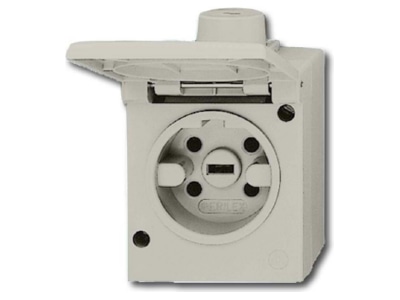 Product image Busch Jaeger 2064 AG Surface mounted perilex socket 25A
