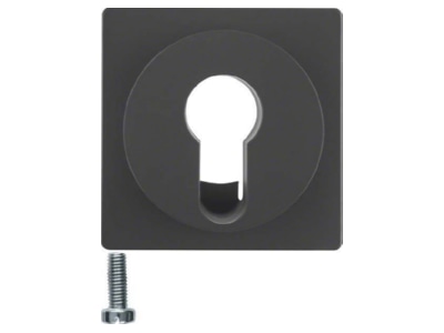 Product image 1 Berker 15076086 Cover plate for switch push button
