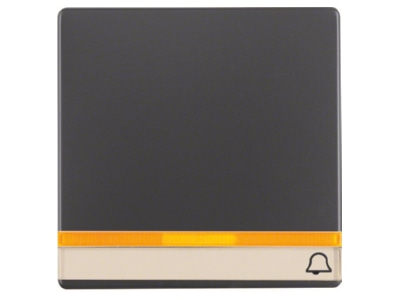 Product image 1 Berker 16286076 Cover plate for switch push button
