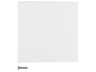 Produktbild 1 Berker 85141188 Taste 1fach polarweiss matt