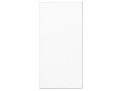 Produktbild Jung A 50NA WW Abdeckung in Tastenfarbe 25x55mm