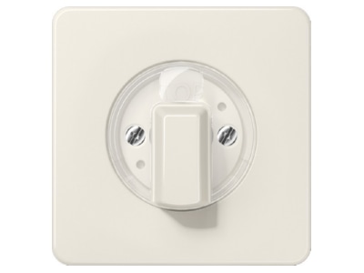 Produktbild Jung CD 1541 Abdeckung fuer Drehschalter