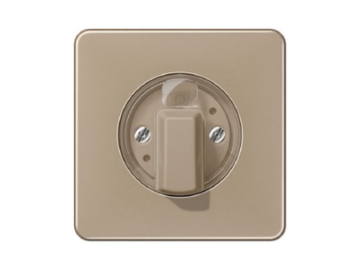 Produktbild Jung CD 1541 GB Abdeckung fuer Drehschalter