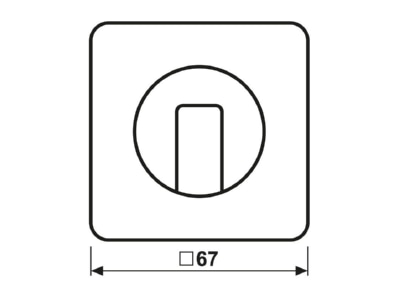 Ma�zeichnung 2 Jung CD 1541 GB Abdeckung fuer Drehschalter