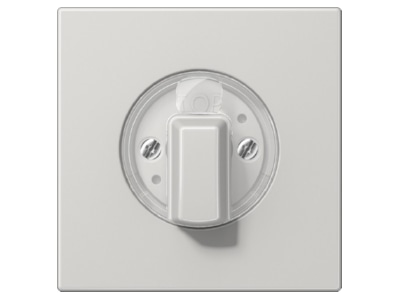 Produktbild Jung LS 1941LG Abdeckung fuer Drehschalter