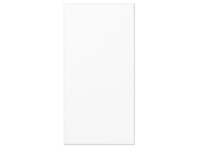Produktbild Jung LS 50NAWW Abdeckung in Tastenfarbe 33x70 5mm