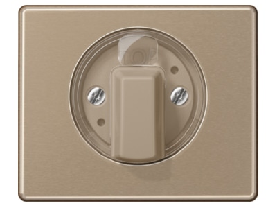 Produktbild Jung SL 1541 GB Abdeckung fuer Drehschalter