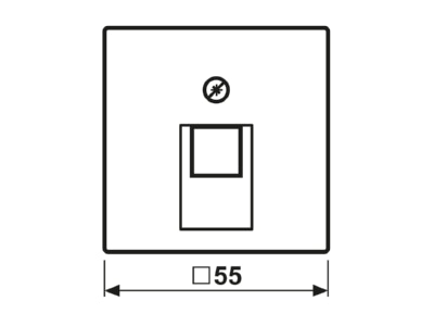 Ma�zeichnung Jung A 569 1 BF PL UA ANM Abdeckung fuer UAE Dose anthrazit matt