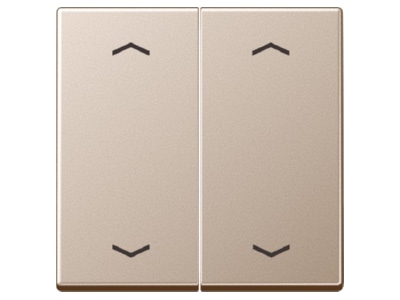 Produktbild Jung A 595 MP CH Wippe Symbole Pfeile 2 f champagner