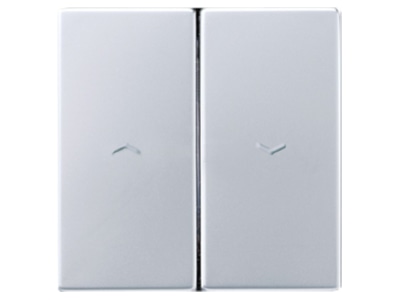 Produktbild Jung AL 2995 PP Wippe 2 f gepraegtes Symbol Jalousie aluminium