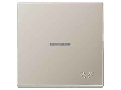 Produktbild Jung ES 2990 KO5 LP Wippe gepraegtes Symbol Licht edelstahl