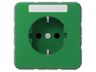 Produktbild Jung CD 1520 BFNA GN SCHUKO Steckdose 16A 250V mit Schriftfeld