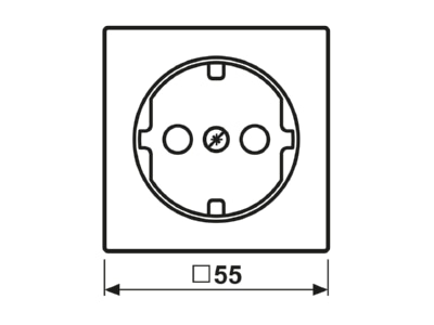 Ma�zeichnung Jung A 1520 PLWW Zentralplatte