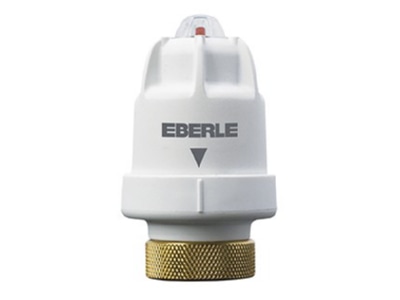 Product image Eberle TS  6 11 120N Electric servomotor
