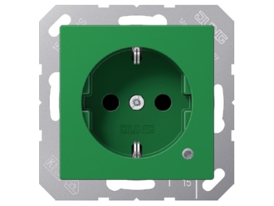 Product image Jung ABA 1520 BFKO GN Socket outlet  receptacle 
