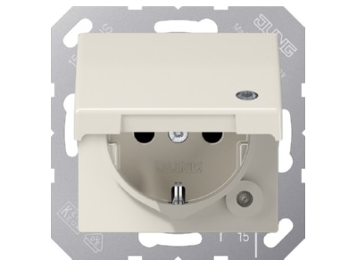 Product image Jung AS 1520 BFKLKO Socket outlet  receptacle 
