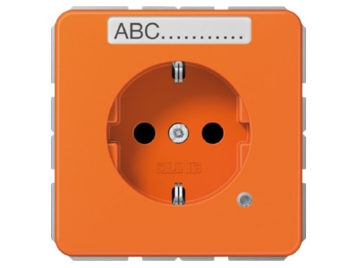 Product image Jung CD 1520 BFNAKO O Socket outlet  receptacle 
