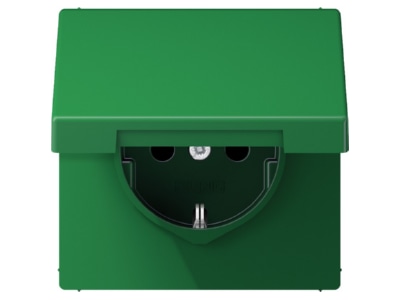 Product image Jung LS 1520 BFKL GN Socket outlet  receptacle 

