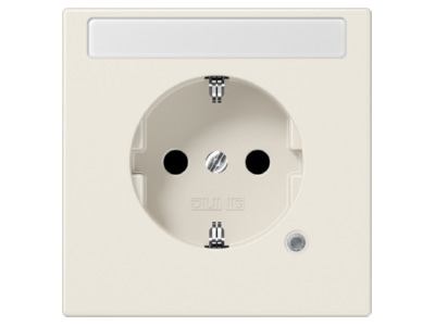 Product image Jung LS 1520 NAKO Socket outlet  receptacle 
