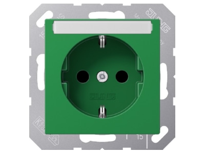 Product image Jung A 1520 BFKINA GN Socket outlet  receptacle 
