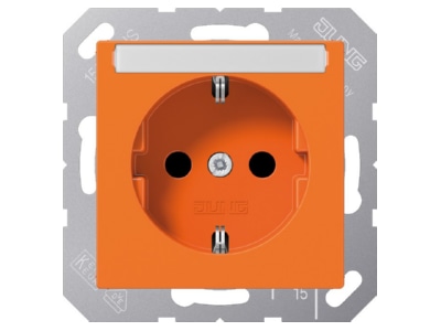 Product image Jung A 1520 BFKINA O Socket outlet  receptacle 
