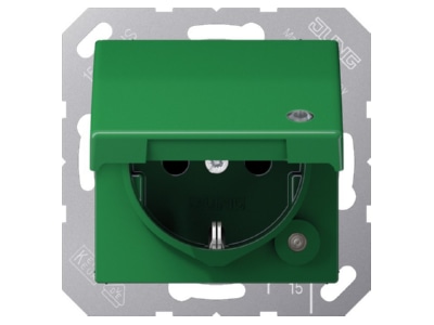 Product image Jung A 1520 BFKLKO GN Socket outlet  receptacle 
