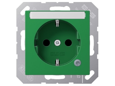 Product image Jung A 1520 BFNAKO GN Socket outlet  receptacle 
