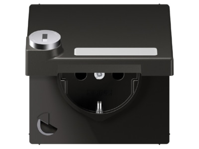 Product image Jung AL 1520 NAKLSL AN Socket outlet  receptacle 
