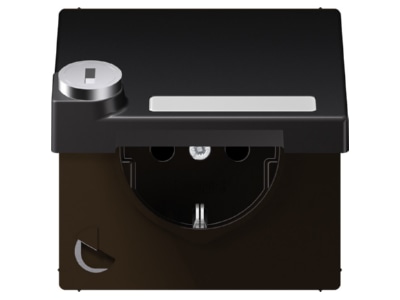 Product image Jung AL 1520 NAKLSL D Socket outlet  receptacle 
