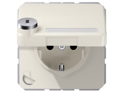 Product image Jung CD 1520 NAKLSL Socket outlet  receptacle 
