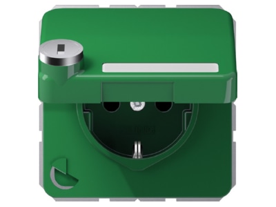 Product image Jung CD 1520 NAKLSL GN Socket outlet  receptacle 
