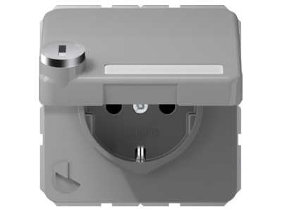 Product image Jung CD 1520 NAKLSL GR Socket outlet  receptacle 
