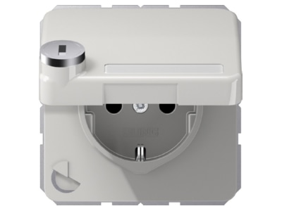 Product image Jung CD 1520 NAKLSL LG Socket outlet  receptacle 
