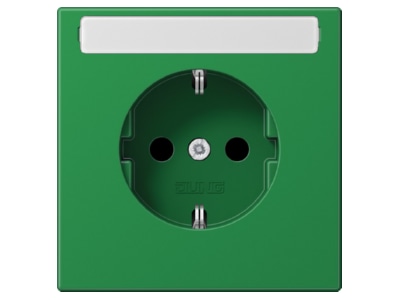 Product image Jung LS 1520 BFKINA GN Socket outlet  receptacle 

