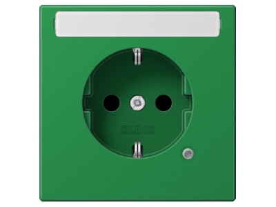 Product image Jung LS 1520 BFNAKO GN Socket outlet  receptacle 
