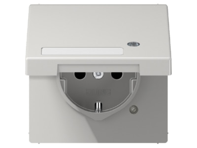 Product image Jung LS 1520 NAKLKO LG Socket outlet  receptacle 
