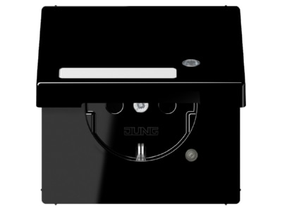 Product image Jung LS 1520 NAKLKO SW Socket outlet  receptacle 
