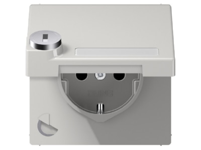 Product image Jung LS 1520 NAKLSL LG Socket outlet  receptacle 

