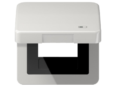 Product image Jung CD 590 KL USB LG Frame 1 gang grey
